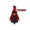 Avatar of ĐÁ GÀ THOMO