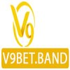 Avatar of V9Bet