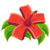 Avatar of Hibiscus Creative Studios