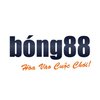 Avatar of Nhà Cái Bong88