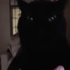 Avatar of Kitttyyuuuuuuuuhhh