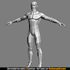 Avatar of cd-res