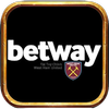Avatar of betwayllc