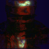 Avatar of Valo