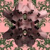 Avatar of jvigneri