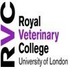 Avatar of rvcanatomy