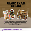 Avatar of UiPath Exam