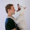 Avatar of Jesse_S