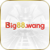 Avatar of big88wang