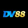Avatar of dv88aorg