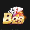 Avatar of B29