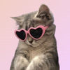 Avatar of PepsiMix