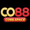 Avatar of CO88