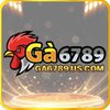 Avatar of Nhà cái GA6789