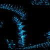 Avatar of Dinozilla