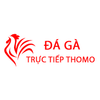 Avatar of Đá Gà Trực Tiếp Thomo Hôm Nay