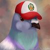 Avatar of TcBas
