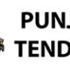 Avatar of tenderpunjab2021