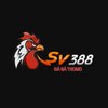 Avatar of SV388