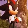 Avatar of hedhogshadow646