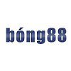 Avatar of bong88_biz