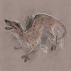 Avatar of UnknownPakicetus