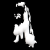Avatar of marcoermini