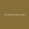 Avatar of soikeobodaonhalive