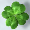 Avatar of Good_Luck