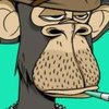 Avatar of Gary.Vee