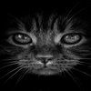 Avatar of Alejandro_13