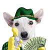 Avatar of POLLO_CSGO