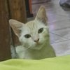 Avatar of galihpr