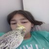 Avatar of 2012zeynep