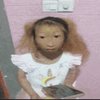 Avatar of proxyfied