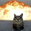 Avatar of FerialArt