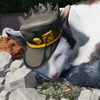 Avatar of JotC