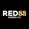 Avatar of red8888pro