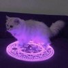 Avatar of VeeBee