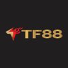 Avatar of tf88is
