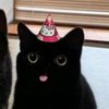 Avatar of s4llry