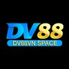 Avatar of dv88vnspace