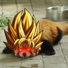 Avatar of Izzy 3D