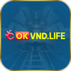Avatar of okvndlife