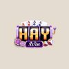 Avatar of HAYWIN