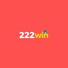 Avatar of 222WIN