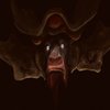 Avatar of ThegamingBendu