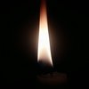 Avatar of Nokito_jm21