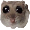 Avatar of King_666