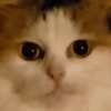 Avatar of r4ndomasdude